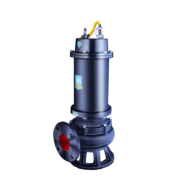 Raxwell WQ(D)潜水排污泵WQD15-7-0.75，220V，DN65，法兰连接，带出水弯管，电缆长度7米