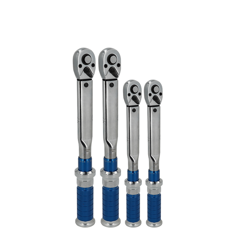 Raxwell 工业预置式扭力扳手，20-100N.m，方榫尺寸3/8"，精度正向±3%，反向±3%，RTWT0125