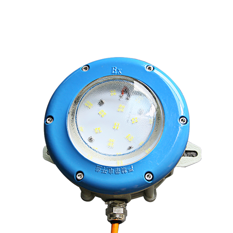 Raxwell 防爆平台灯，50W，吸顶式，RLBP1012，1个